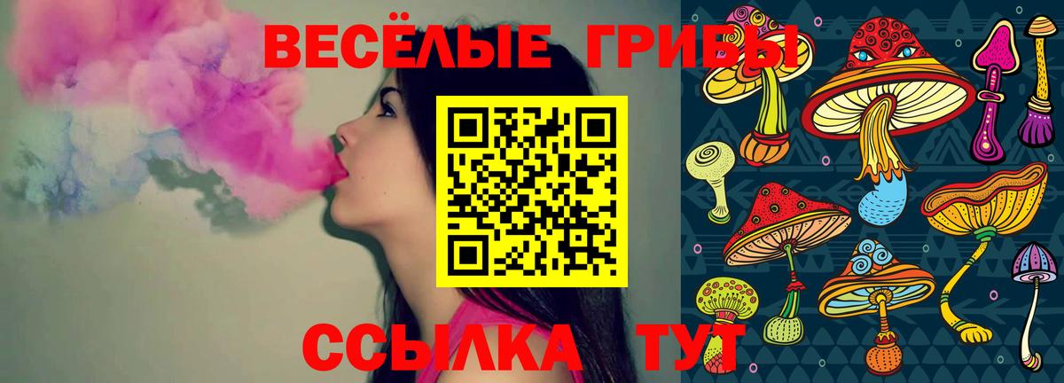 Ленинск-Кузнецкий  Галлюциногенные грибы ЛСД  Вход с VPN 